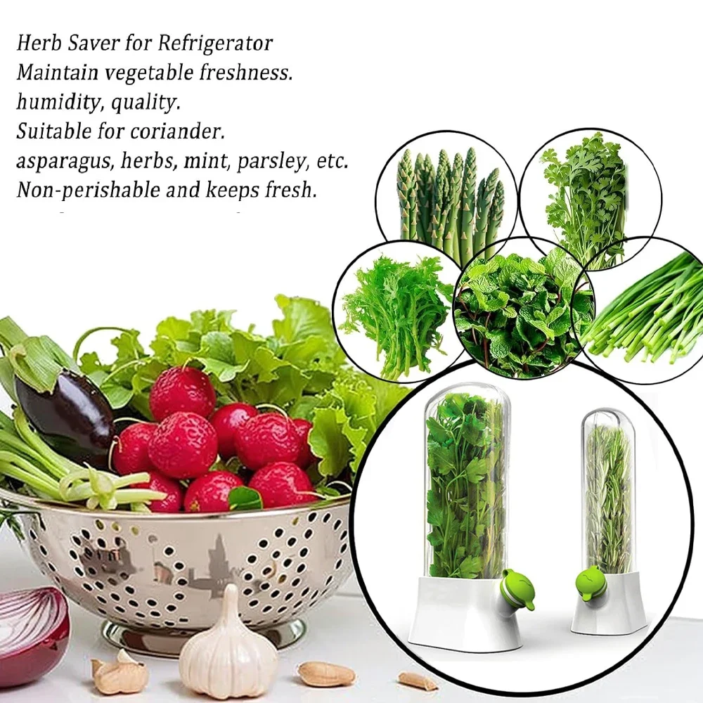 Herb Saver Storage Container V - Herb Keeper Bottle 评论和价格