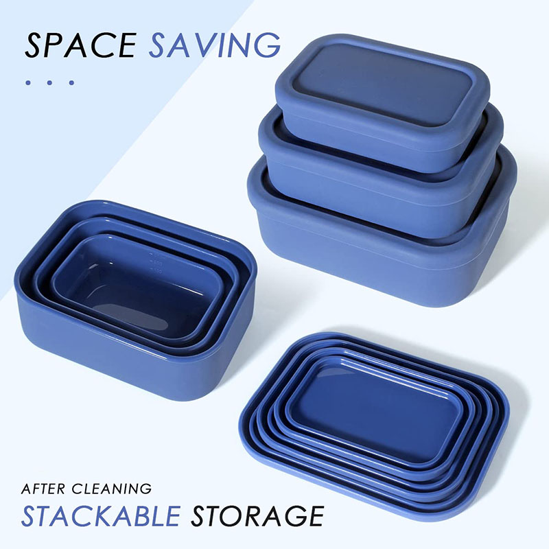 Leak-Resistant Bento Lunch Box - Meal Prep Ideas 评论和价格