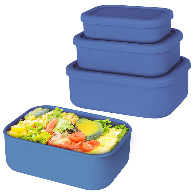 Leak-Resistant Bento Lunch Box - Meal Prep Ideas 评论和价格