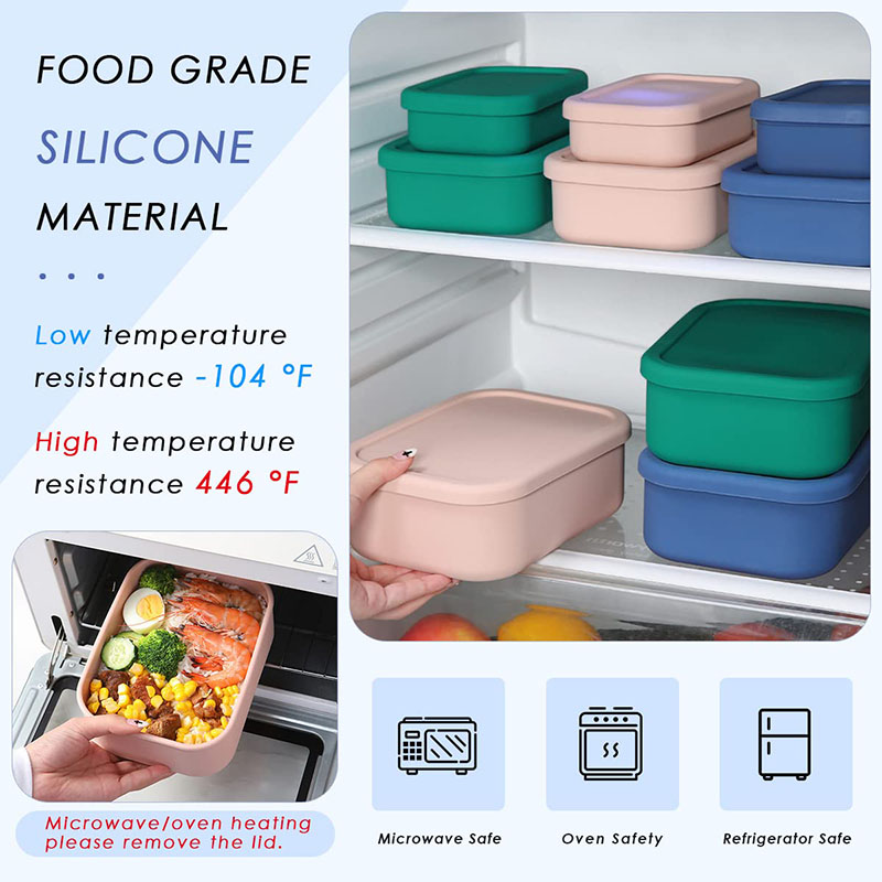 Leak-Resistant Bento Lunch Box - Meal Prep Ideas 评论和价格