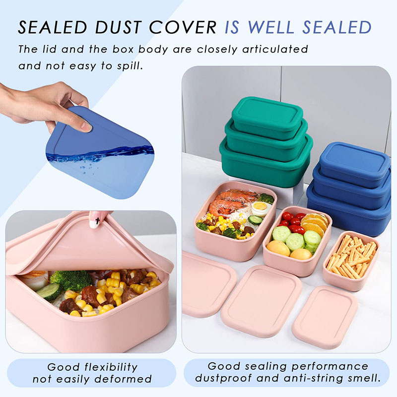 Leak-Resistant Bento Lunch Box - Meal Prep Ideas 评论和价格