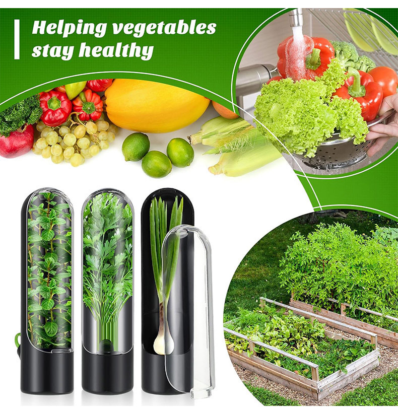 Vegetables Fresh Preservation  - Herb Keeper Bottle 评论和价格